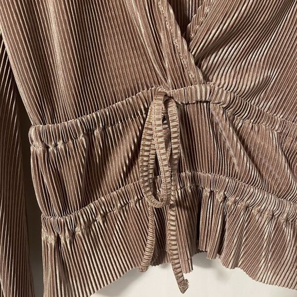 Zara Long Puffed Sleeve Bronze Champagne Accordion Micro Pleated Top M - Picture 2 of 7